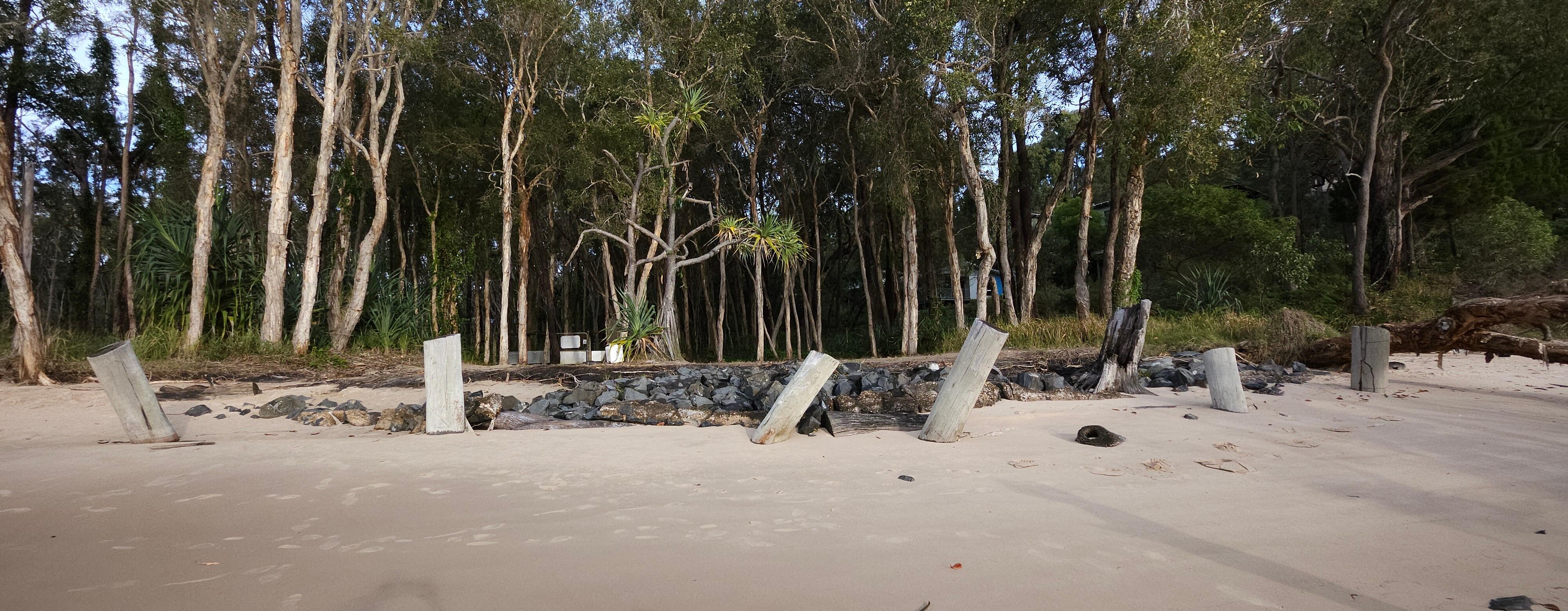 Beach looking back towards the dingo gate 