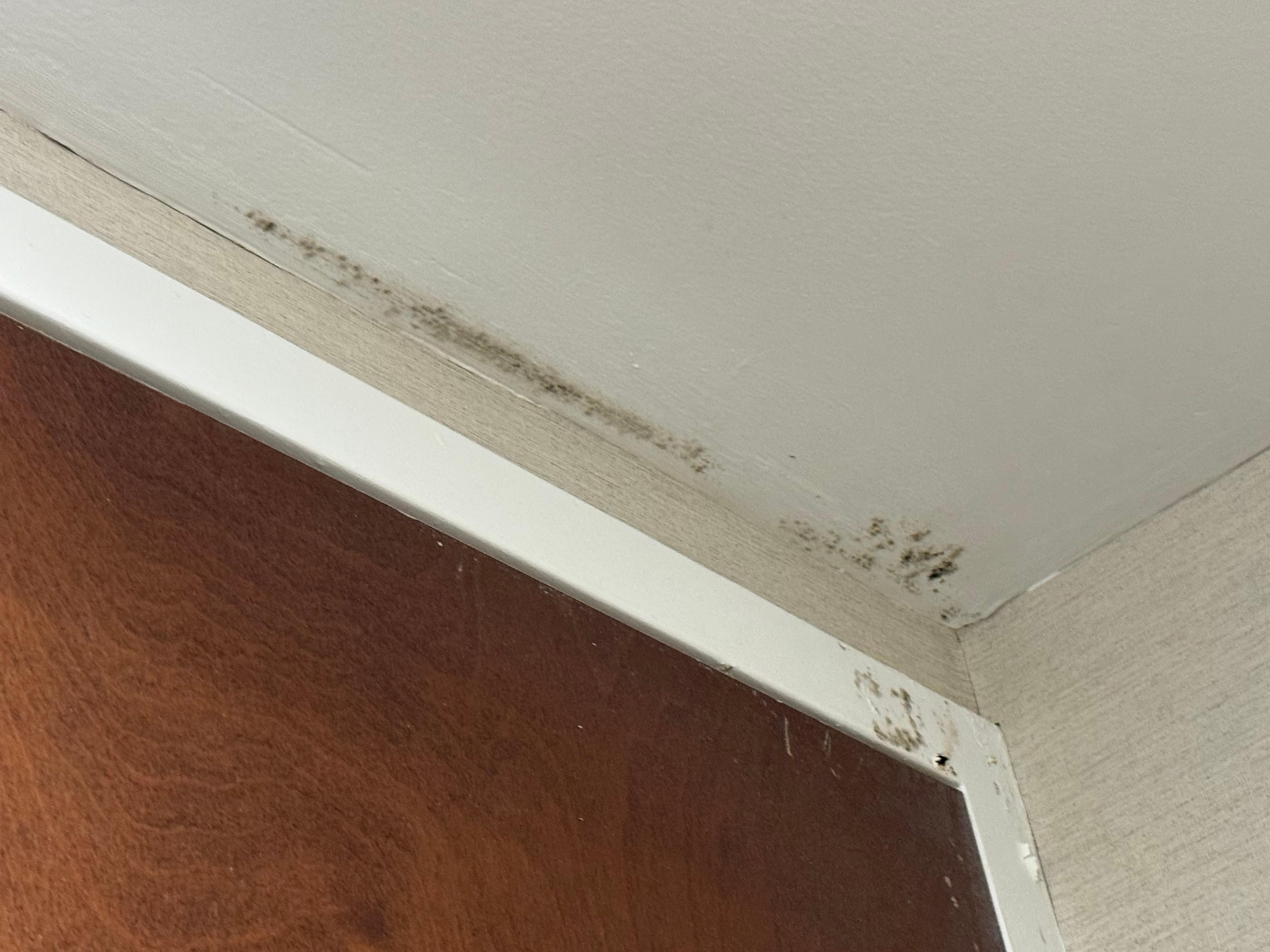 Mold in bathroom 