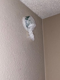 Smoke detector last occupant disabled with a plastic bag and hotel wouldn’t come deal with.