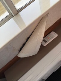Black mold