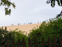 Dune of Pilat, viewed from the bottom