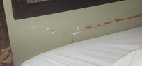The wall behind the bed.