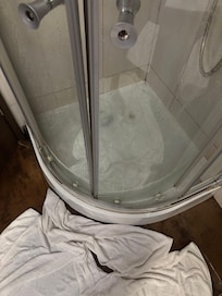 Prior fall broken shower door
