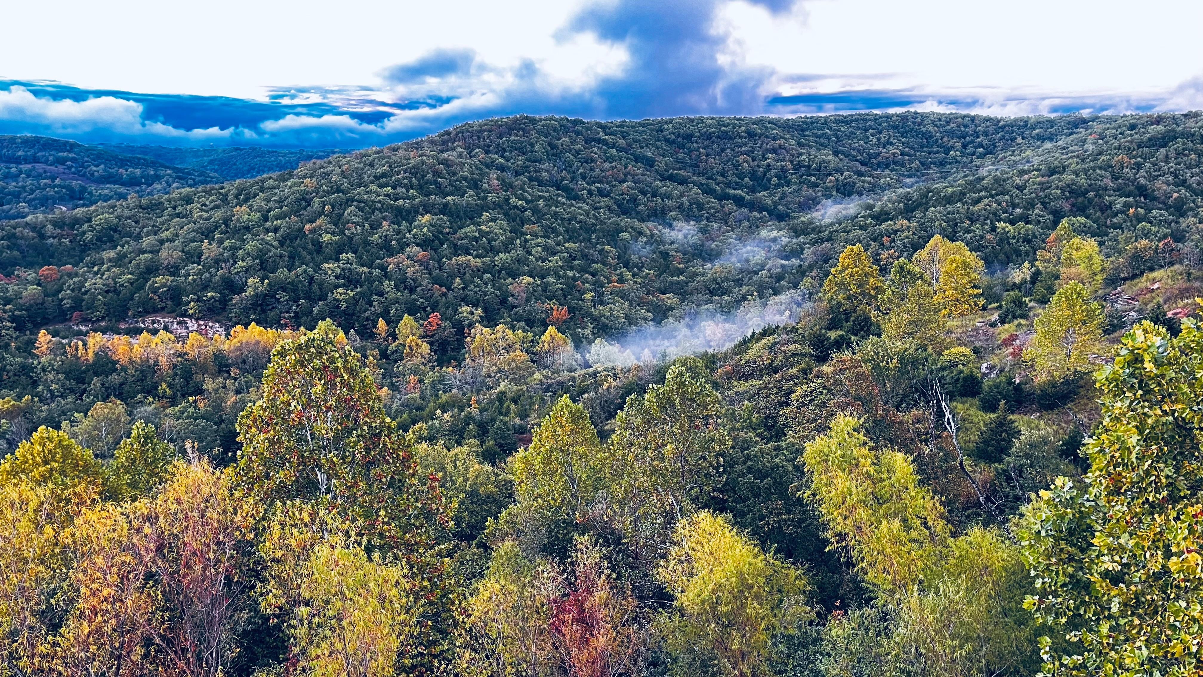 The look off the deck the beginning of fall