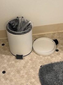 Broken trash can lid