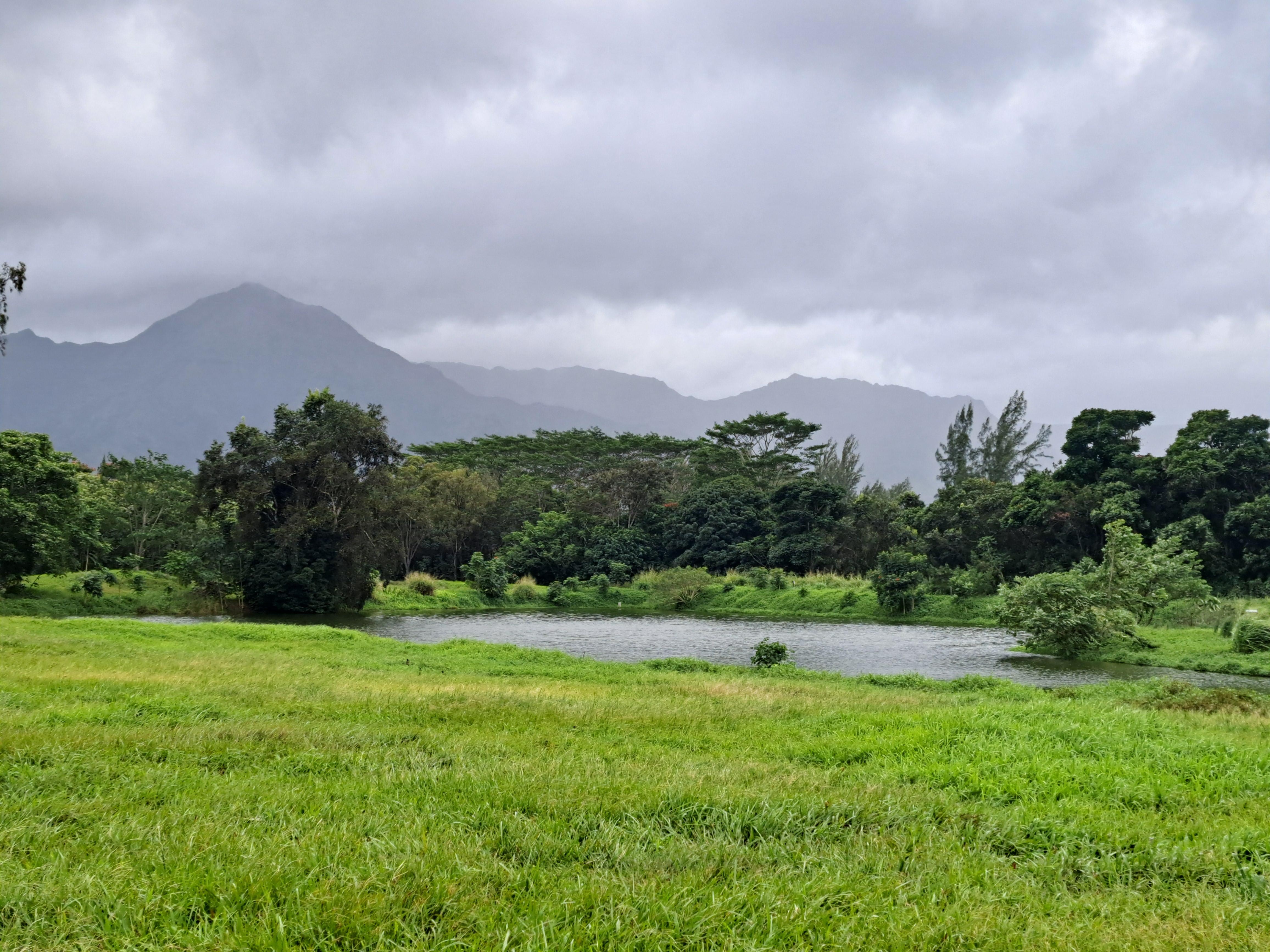 Walking trail near by