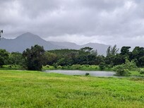 Walking trail near by