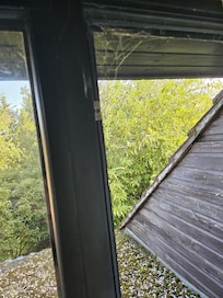 cob webs at windows.
