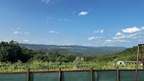 Wahnsinnig schöne Aussicht