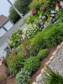 Front garden