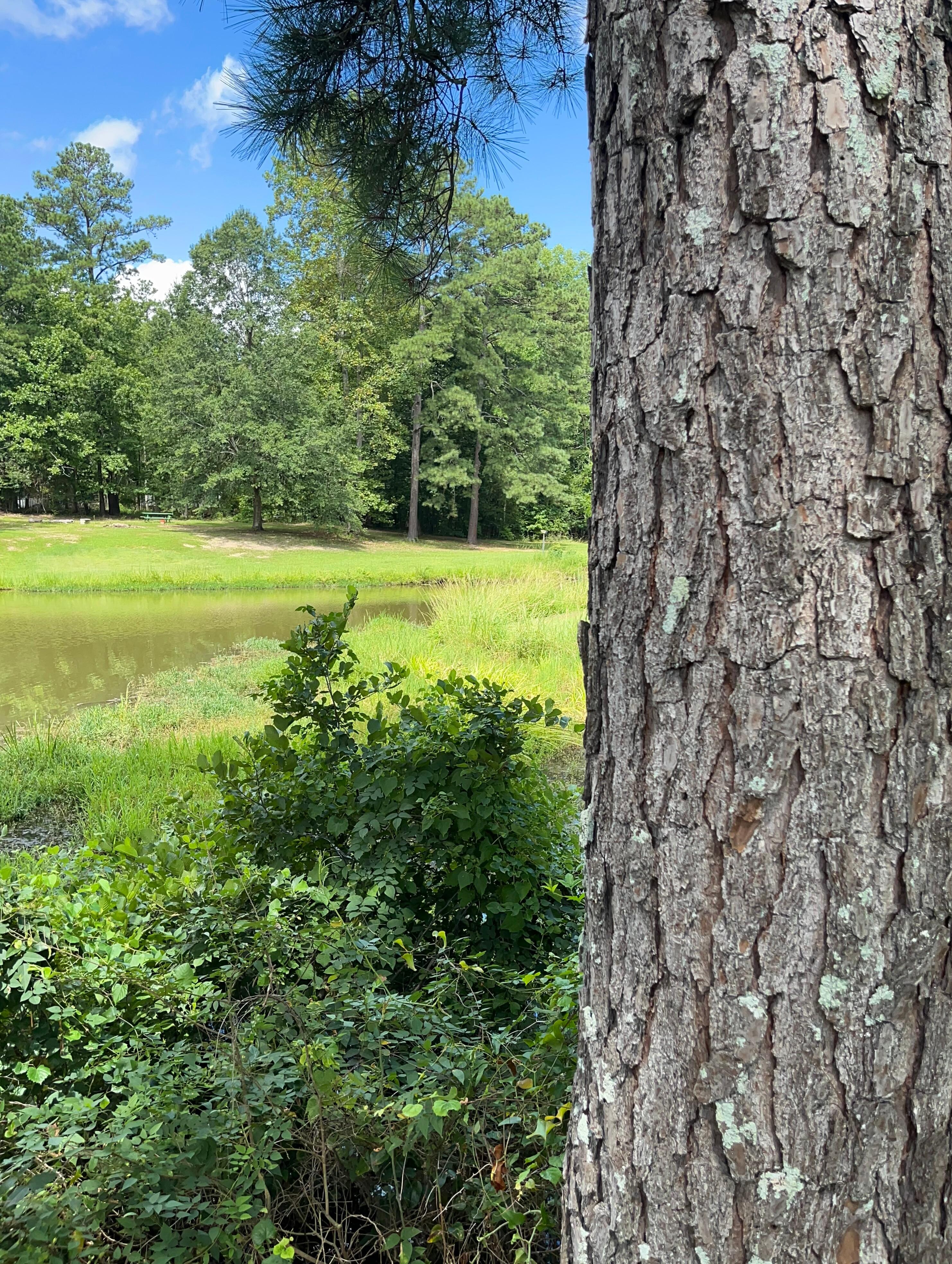 Coosa!  