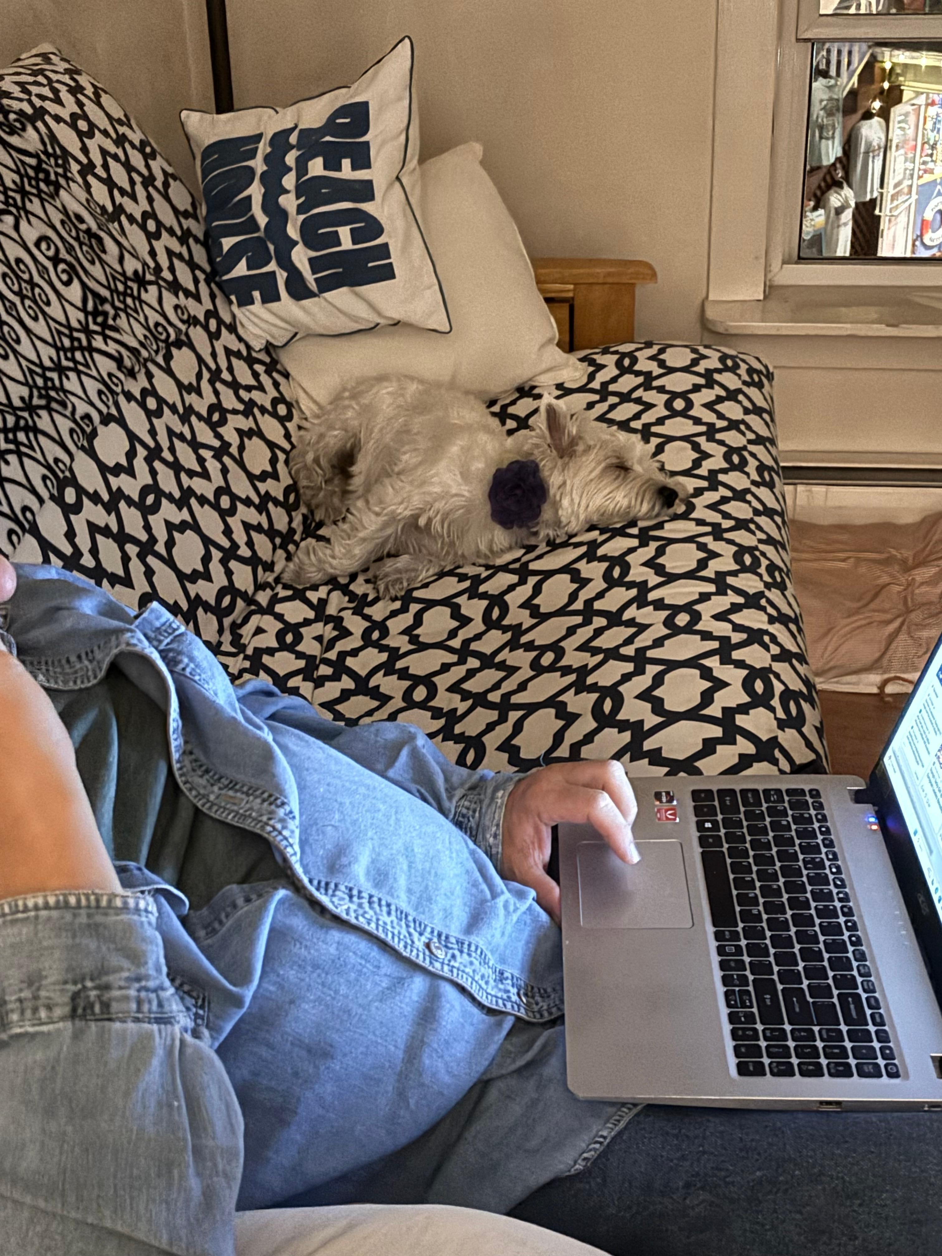 Everyone had a good time. 