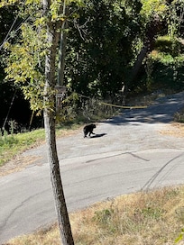 Near crossing right by the cabin