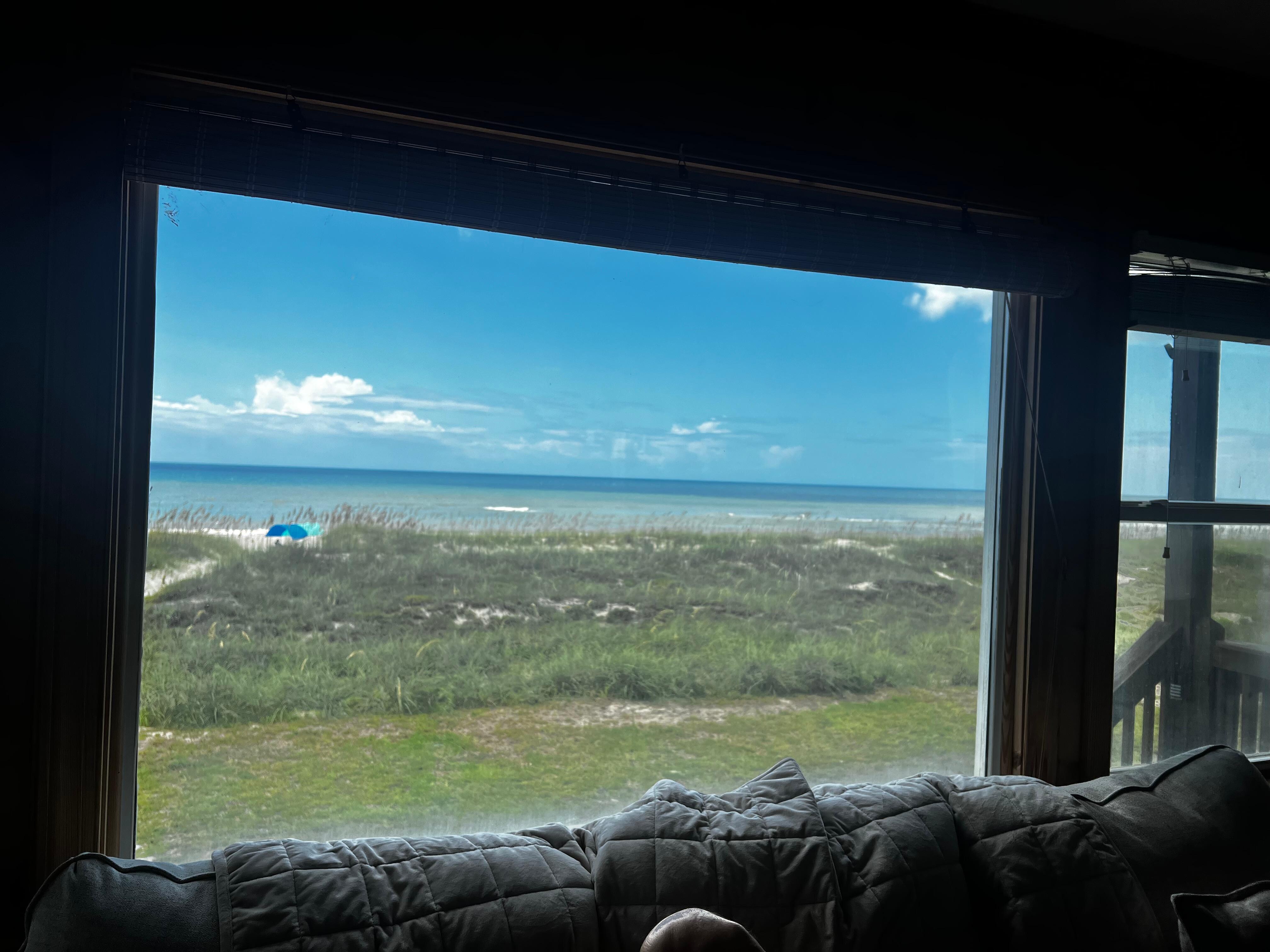 View from the living room couch! 