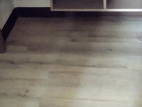 Pet hair everywhere on the floor