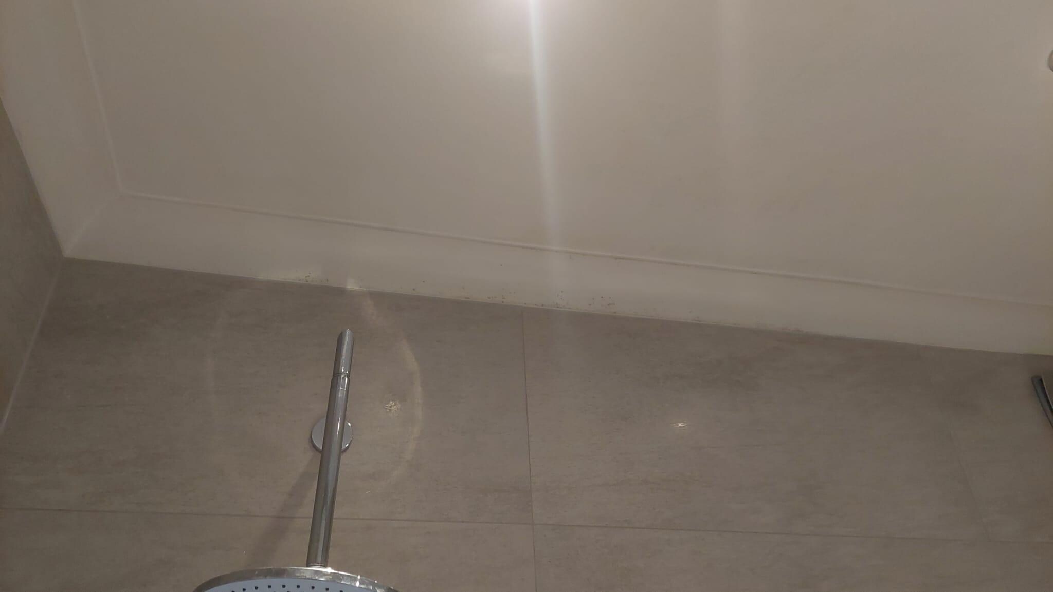 Mold Bathroom #1 (walls)