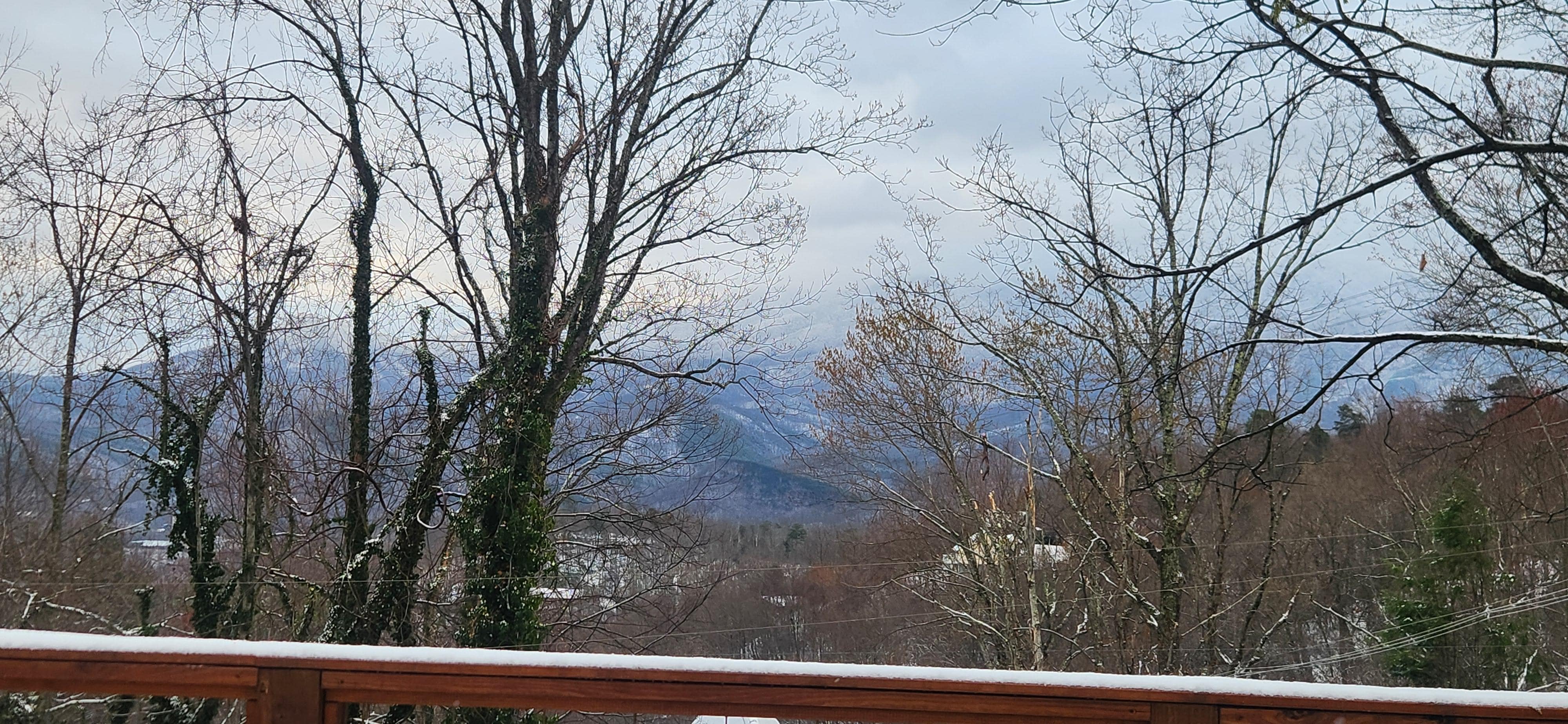 View from Cabin deck