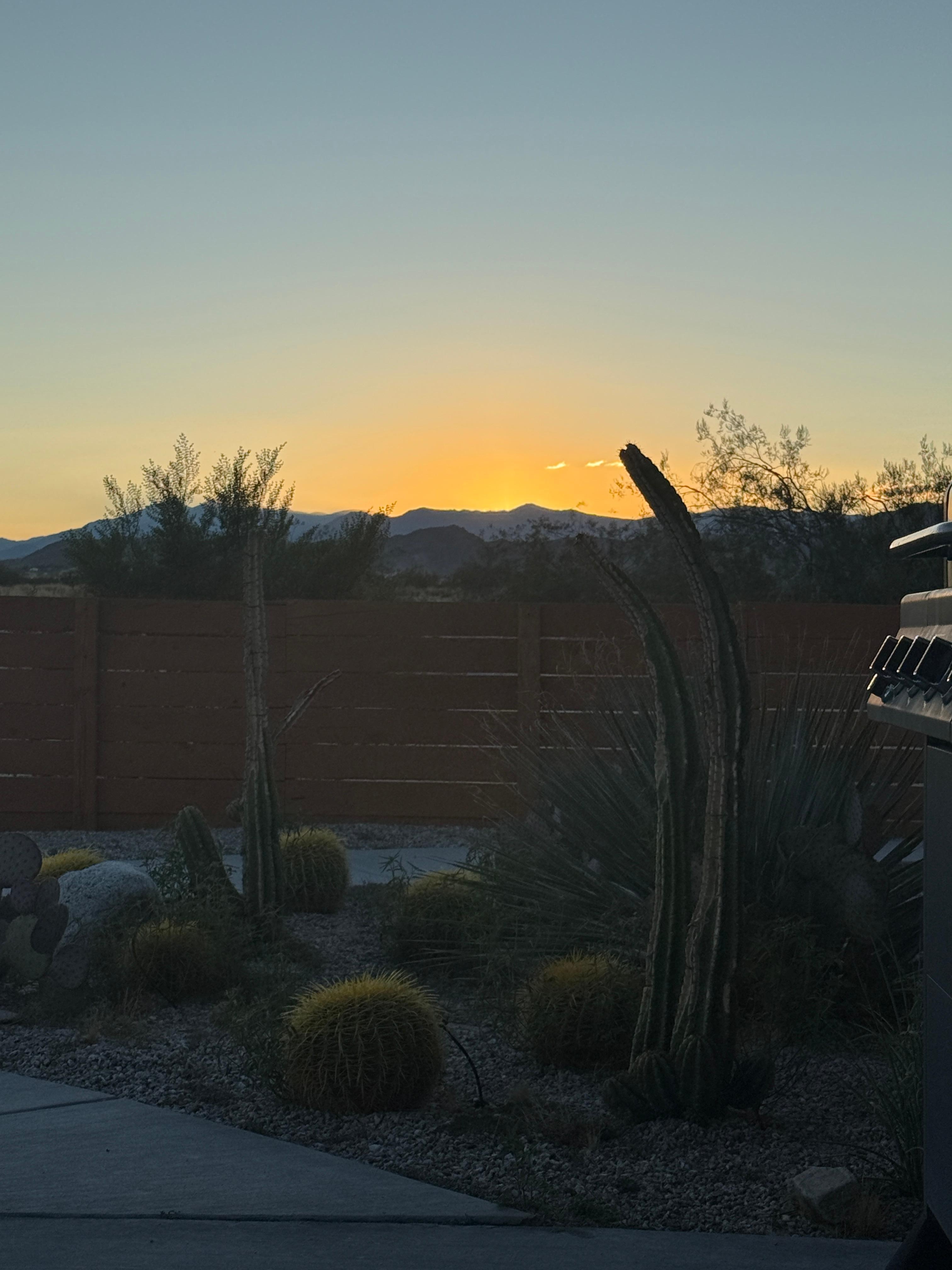 Beautiful sunset from the backyard. 