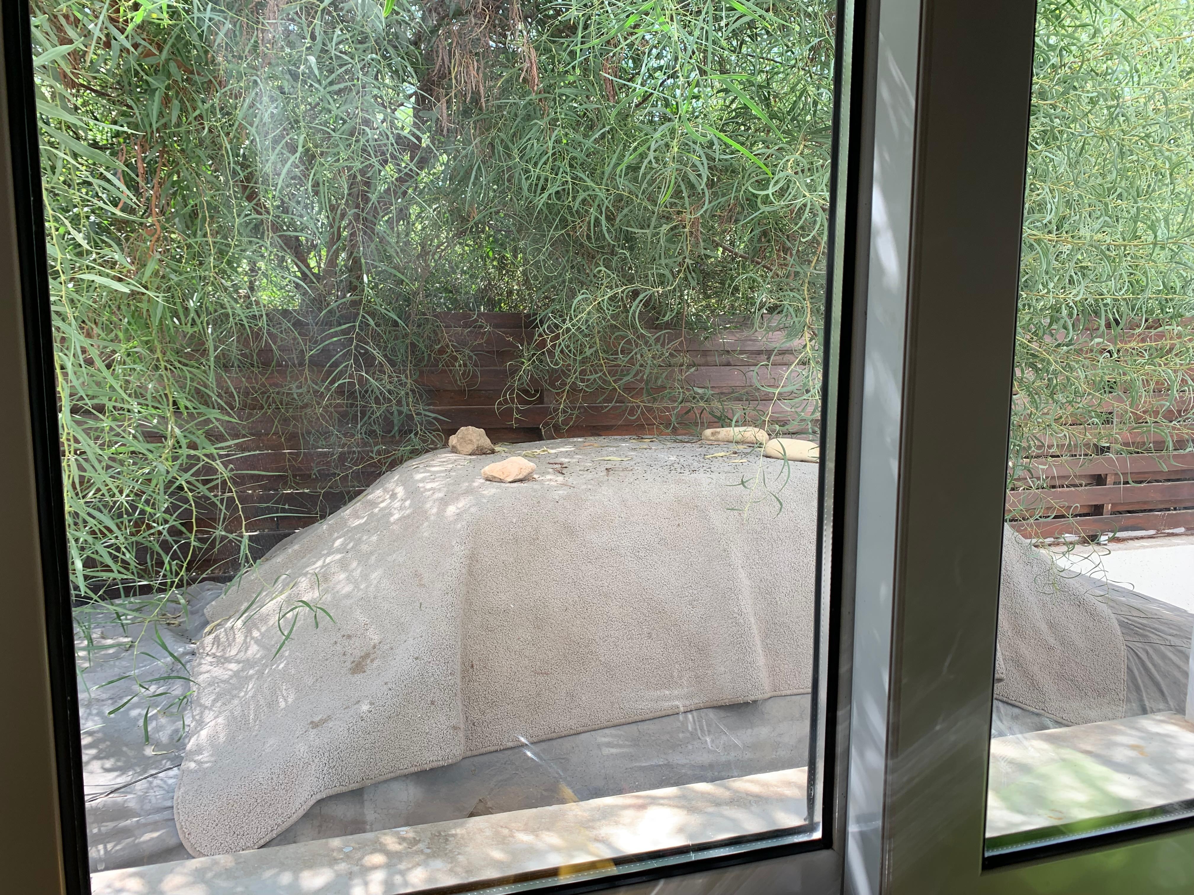 This is the view from the kitchen window by the sink!
