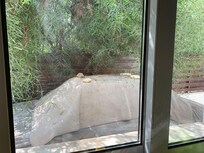 This is the view from the kitchen window by the sink!