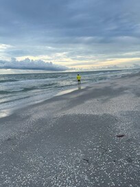 Walk on the beach.