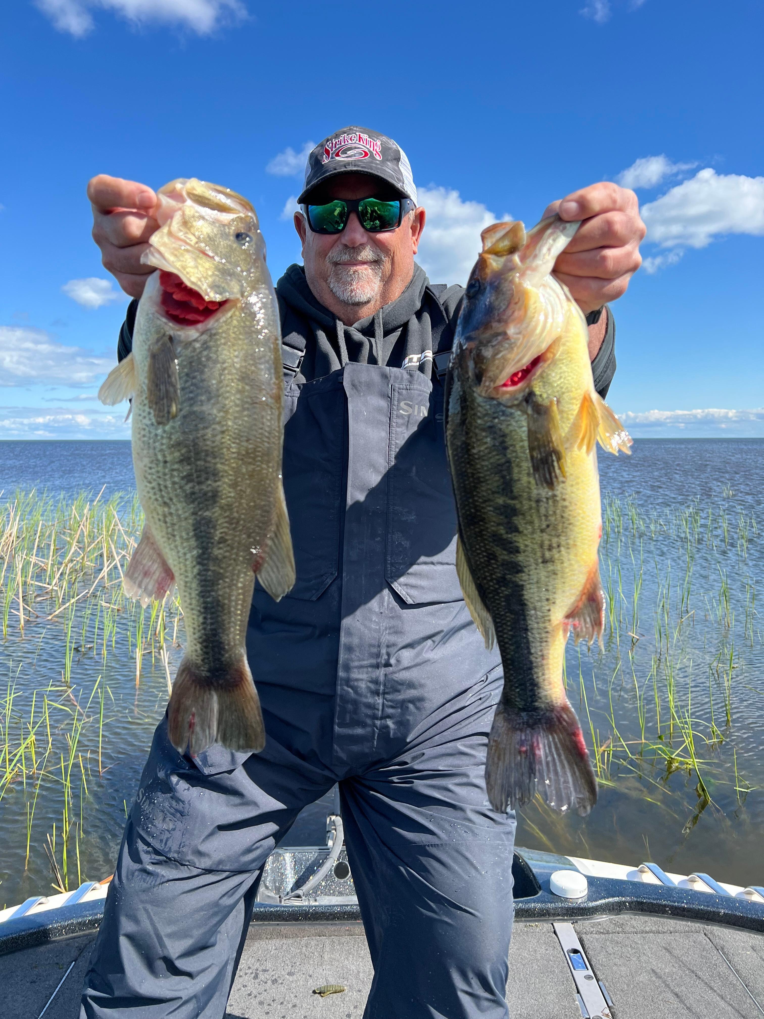 Bass fishing in the reeds.