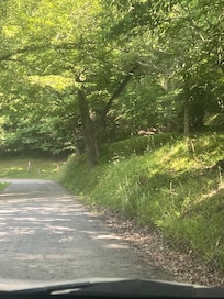 Scenic pathway