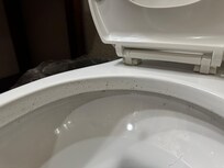 Mold on toilet rim