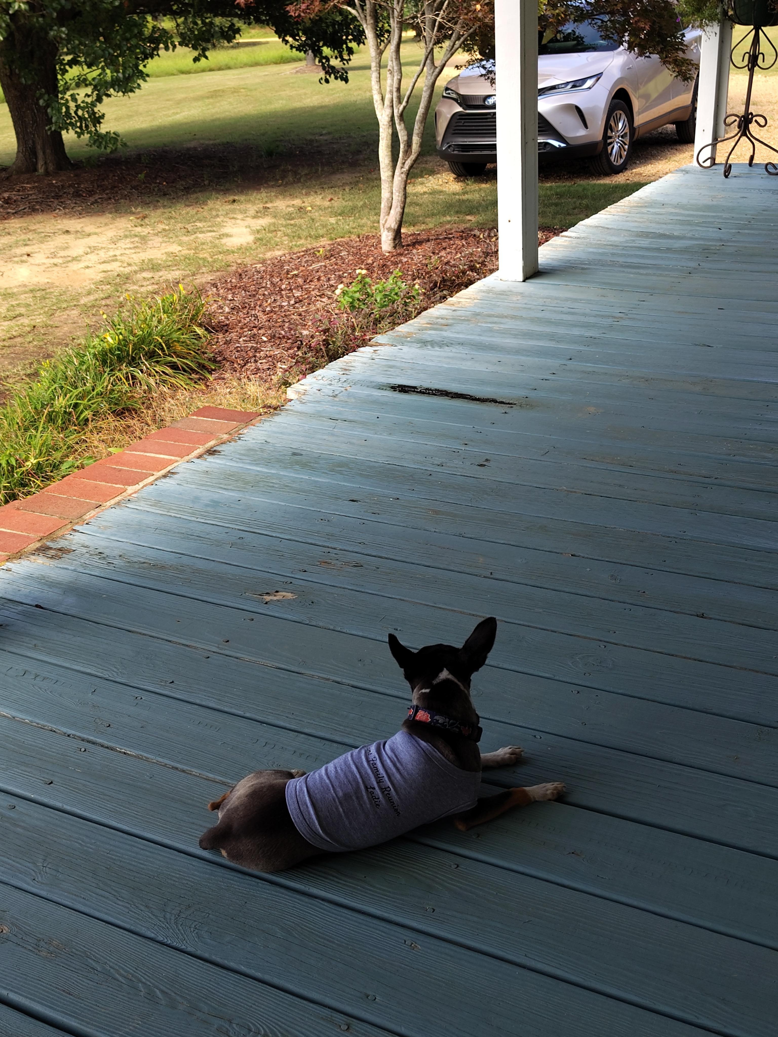 Everyone enjoyed the views 