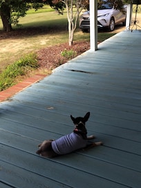 Everyone enjoyed the views