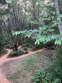 View off the back deck.