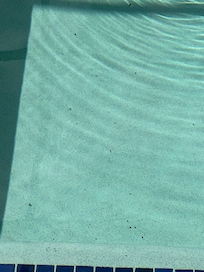 Dirt in pool