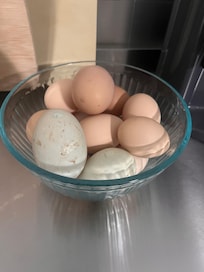 Fresh eggs