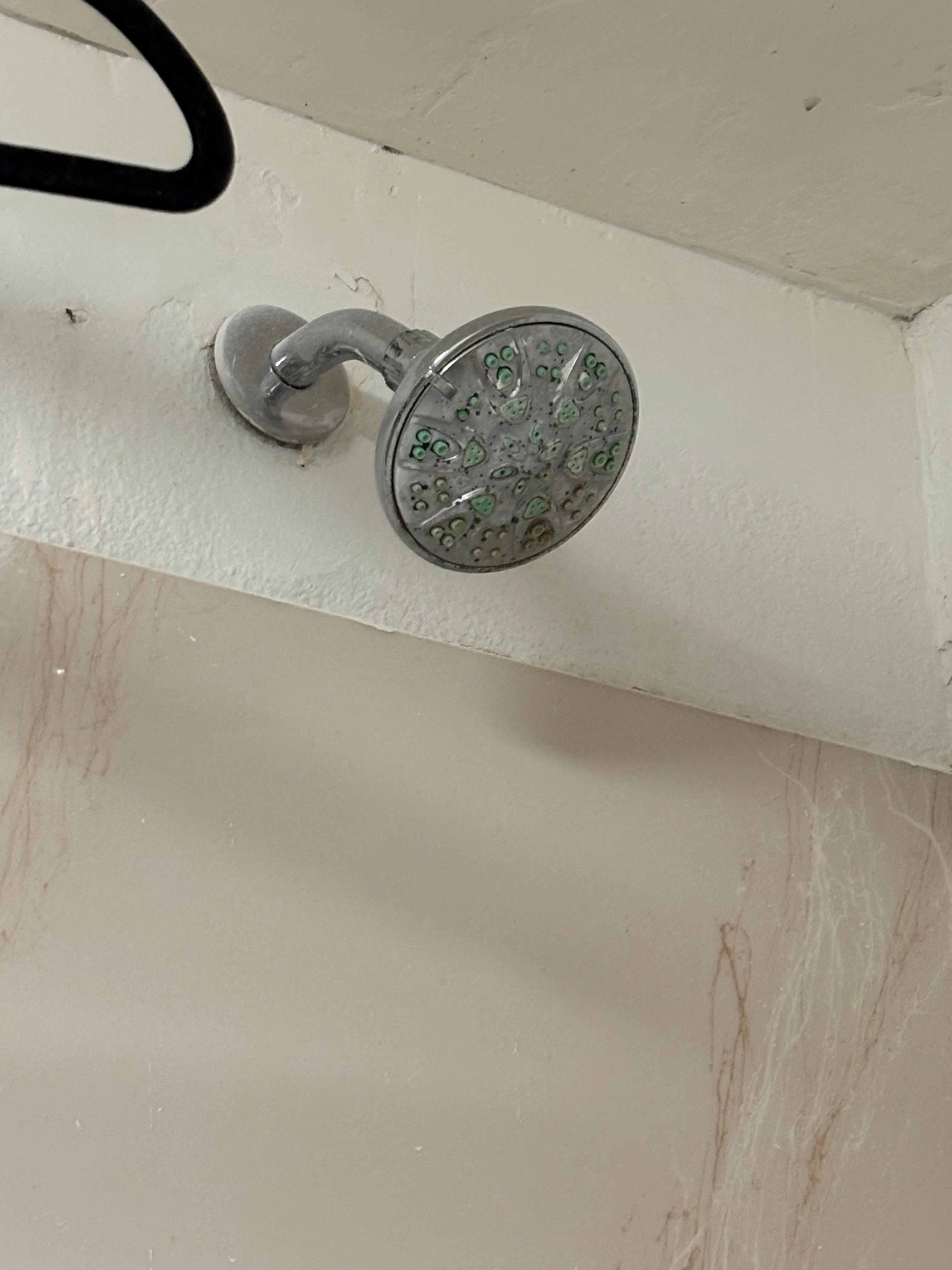 The shower head is in need of a deep cleaning.