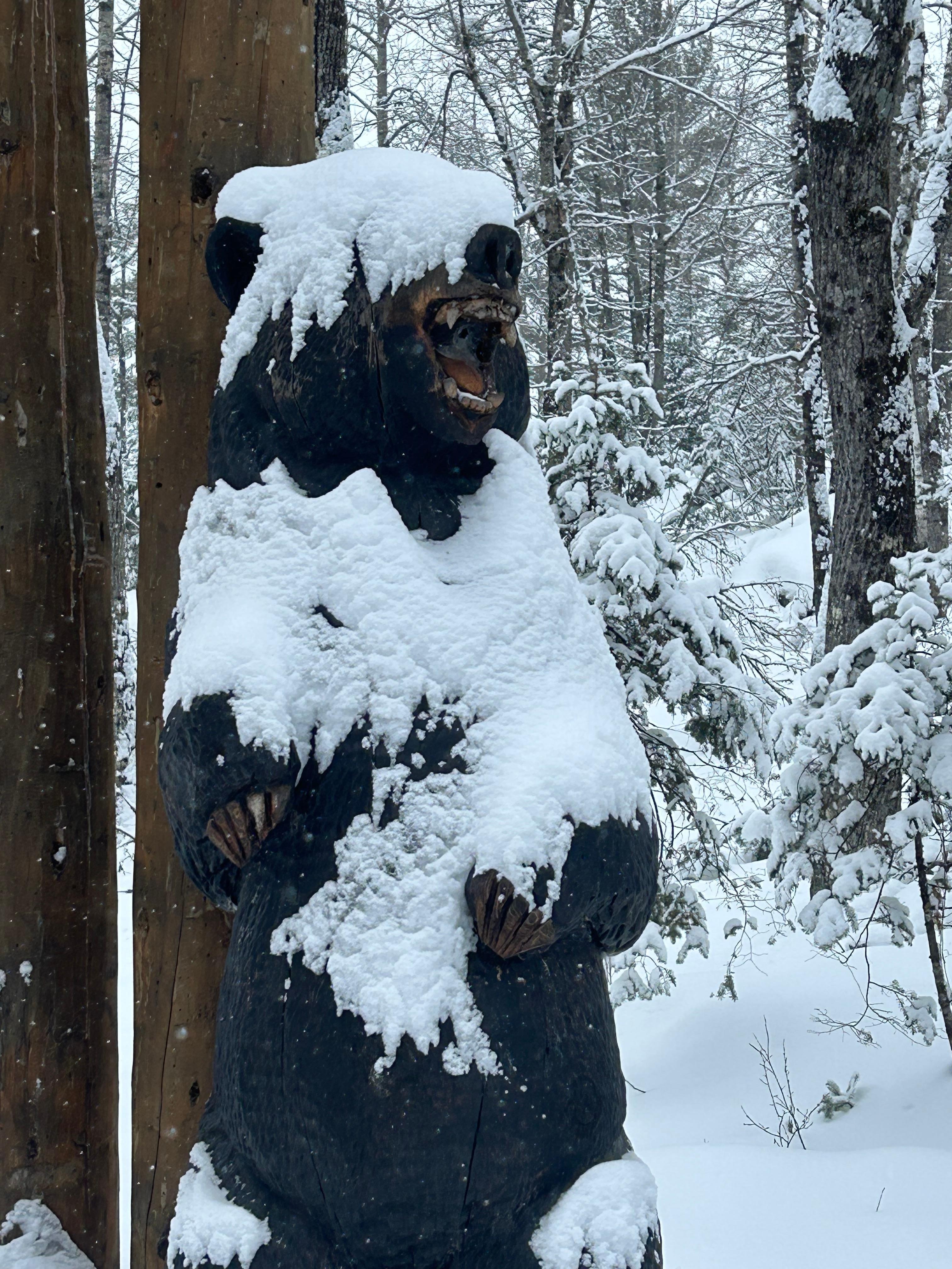 Snowy Bear Mascot 