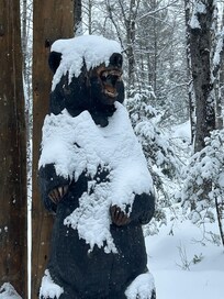 Snowy Bear Mascot