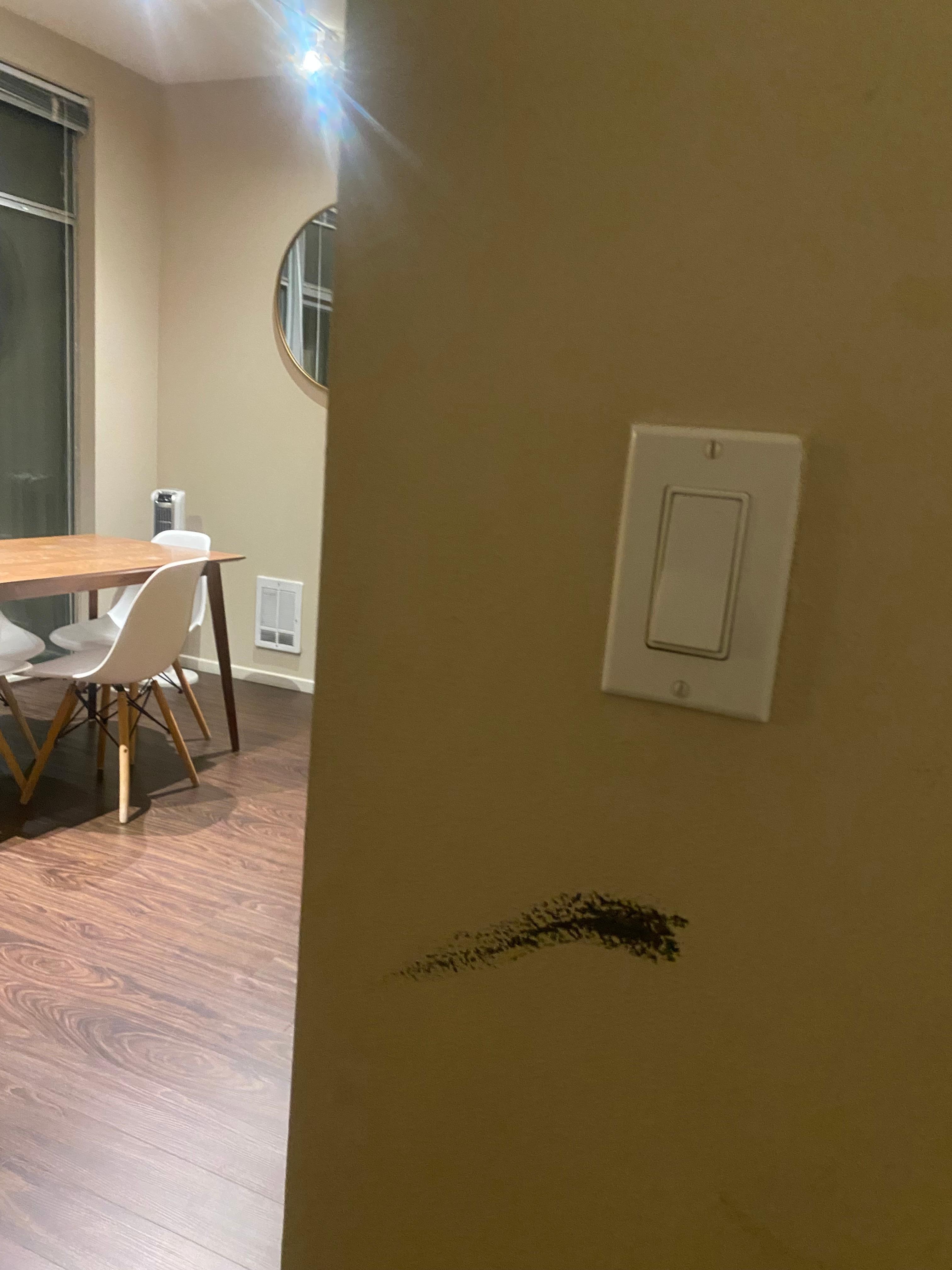 scuffs all over apt, window blinds damaged, no screens on windows, no outlet covers, dirty unit. 