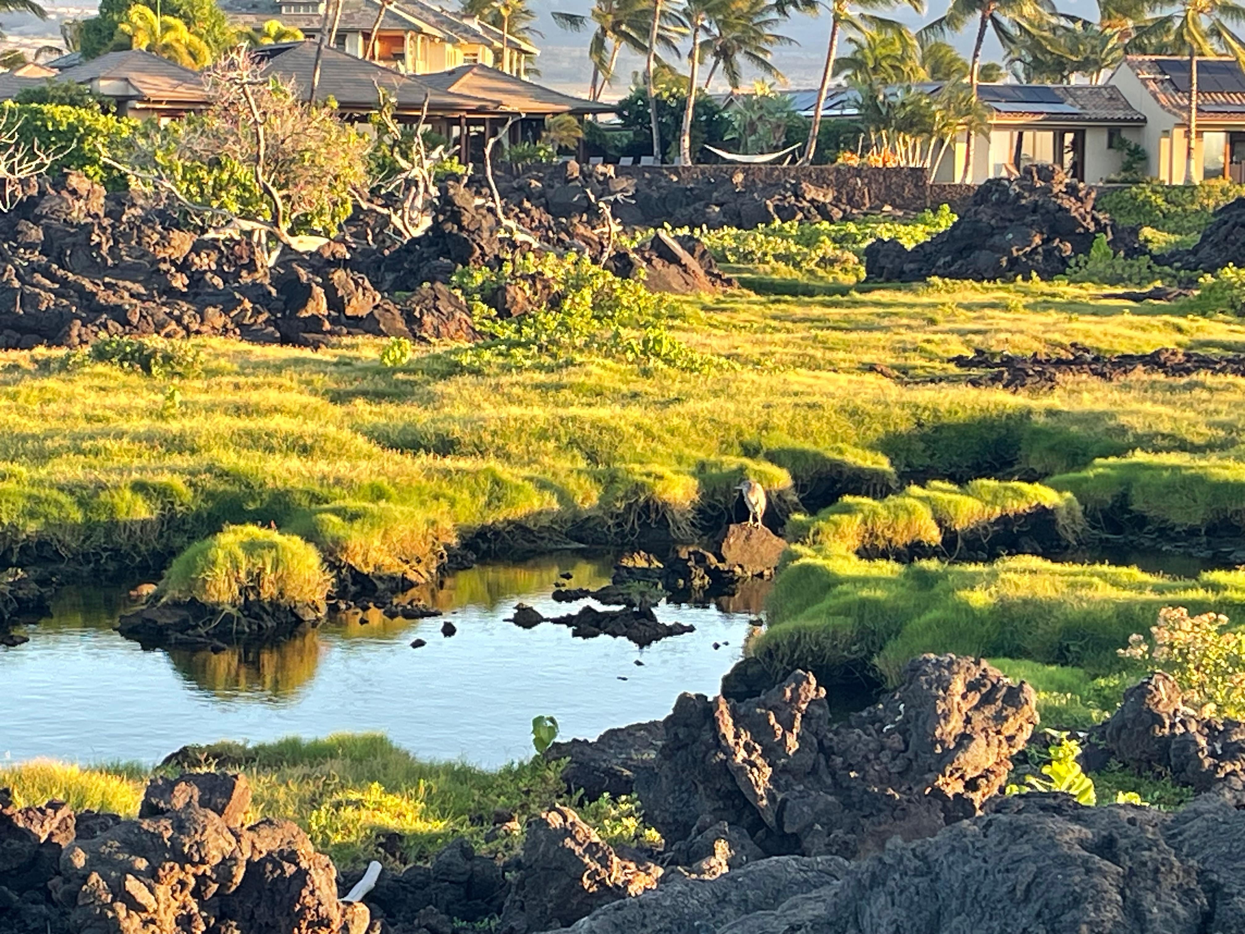 5 minute walk from Condo