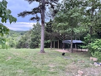 Our dogs loved having a place to go and hang out and the humans loved the view.