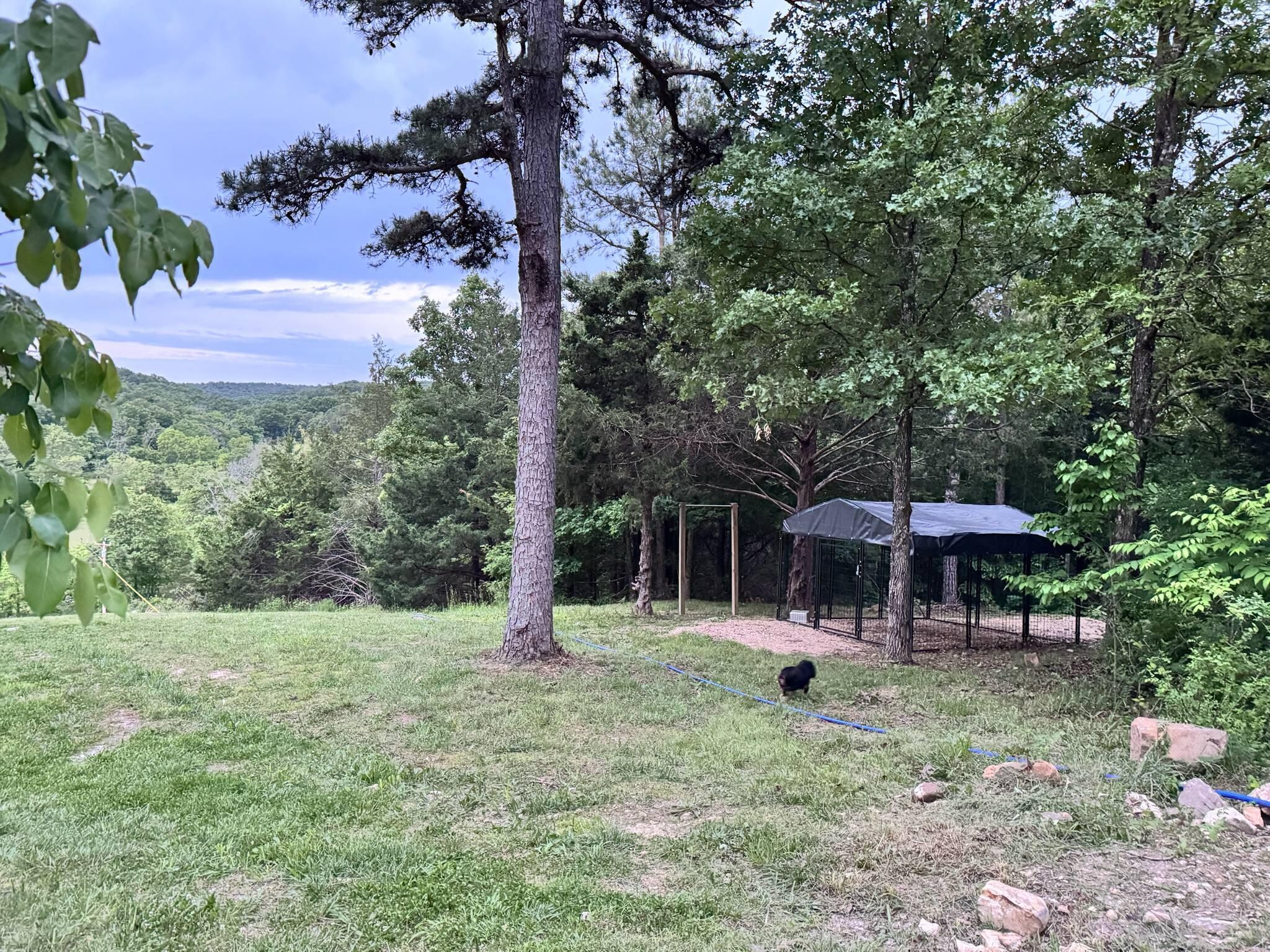 Our dogs loved having a place to go and hang out and the humans loved the view.  