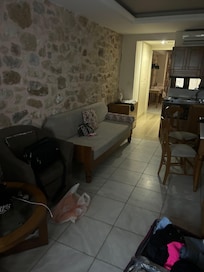 1 bed apartment living room, a little dark