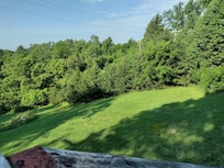 huge back yard