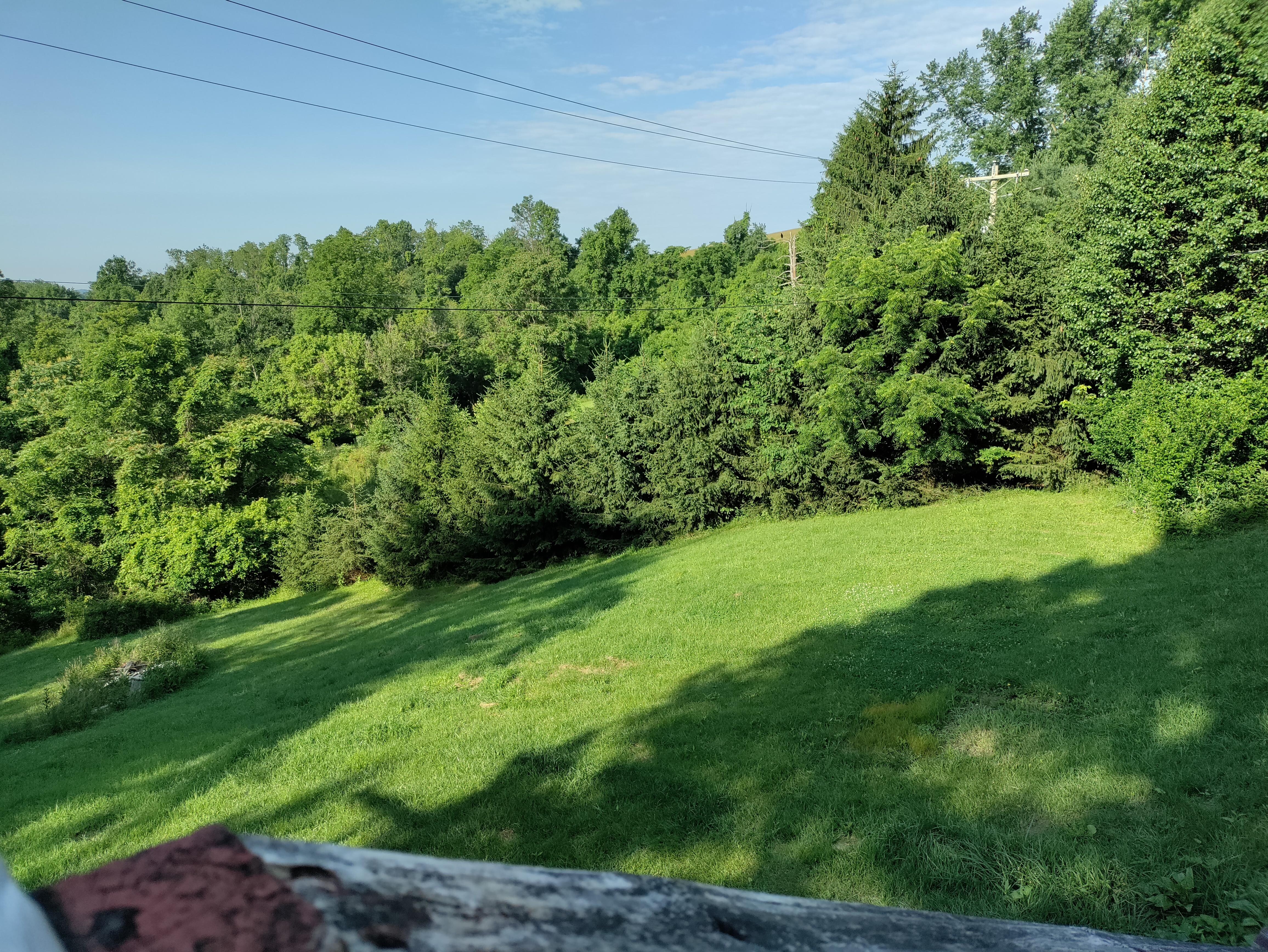 huge back yard