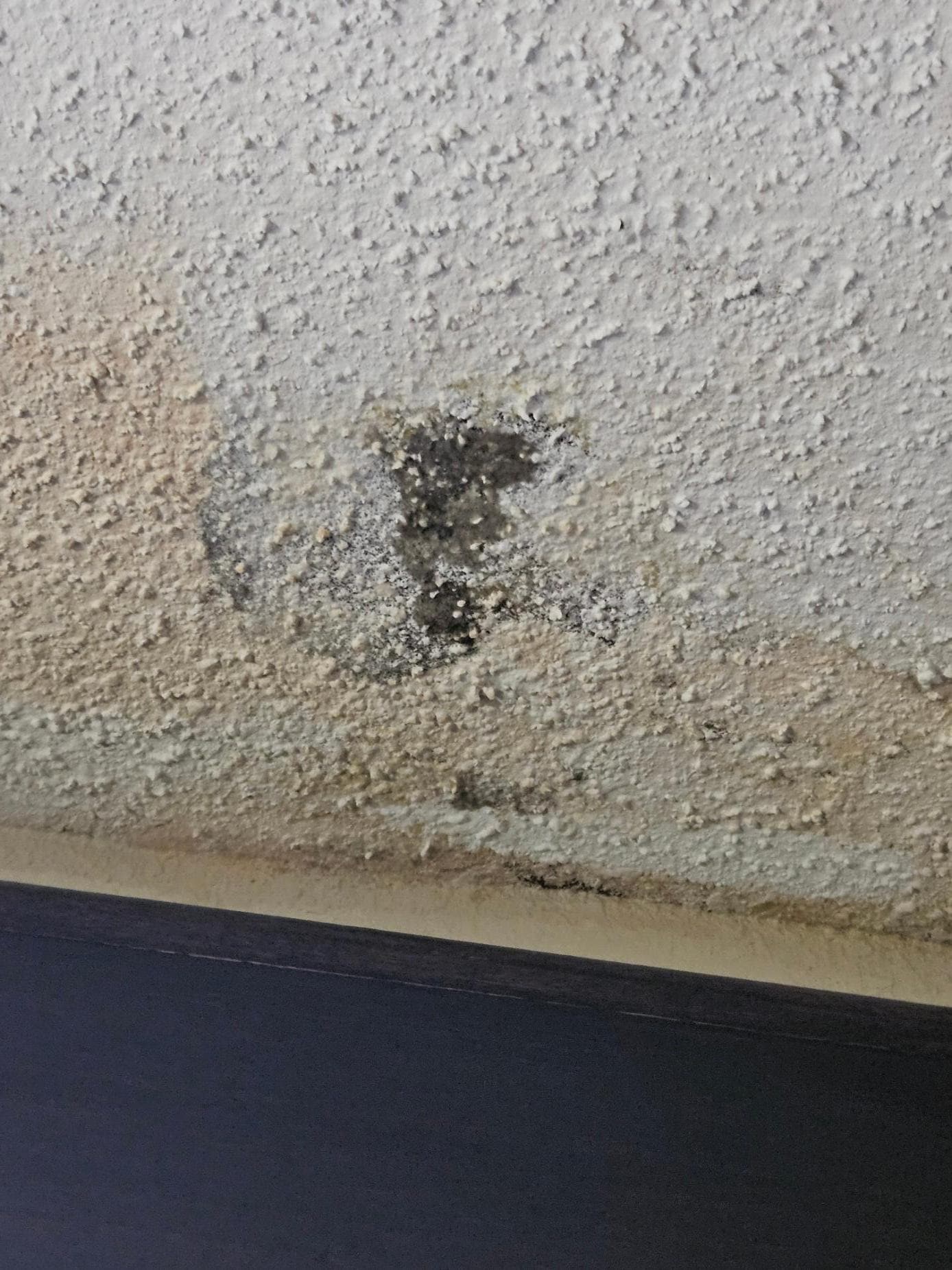 I was told it was not mold and just needed some paint