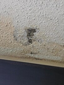 I was told it was not mold and just needed some paint