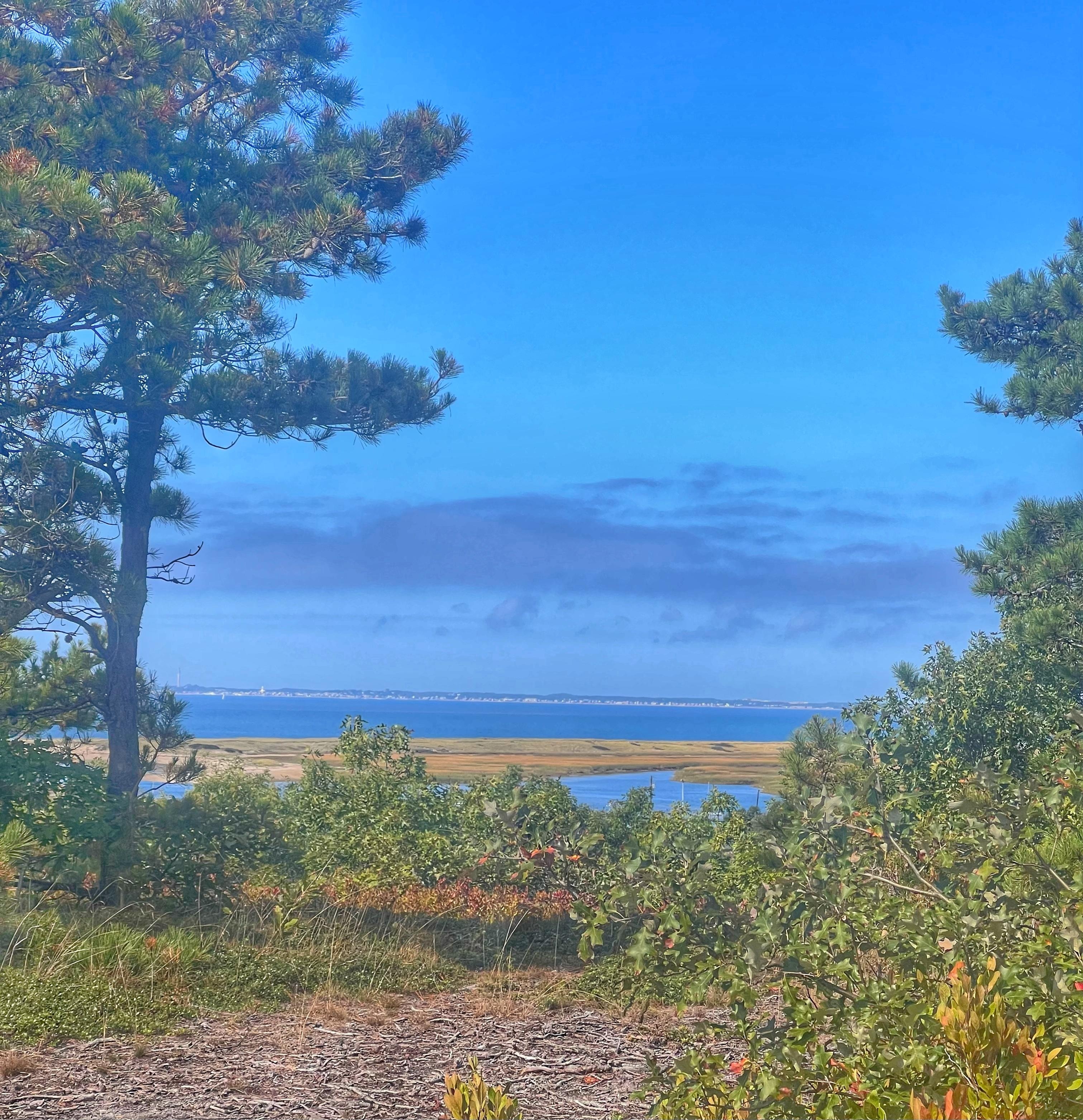 A photo from the road the house is on