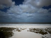 View from living room