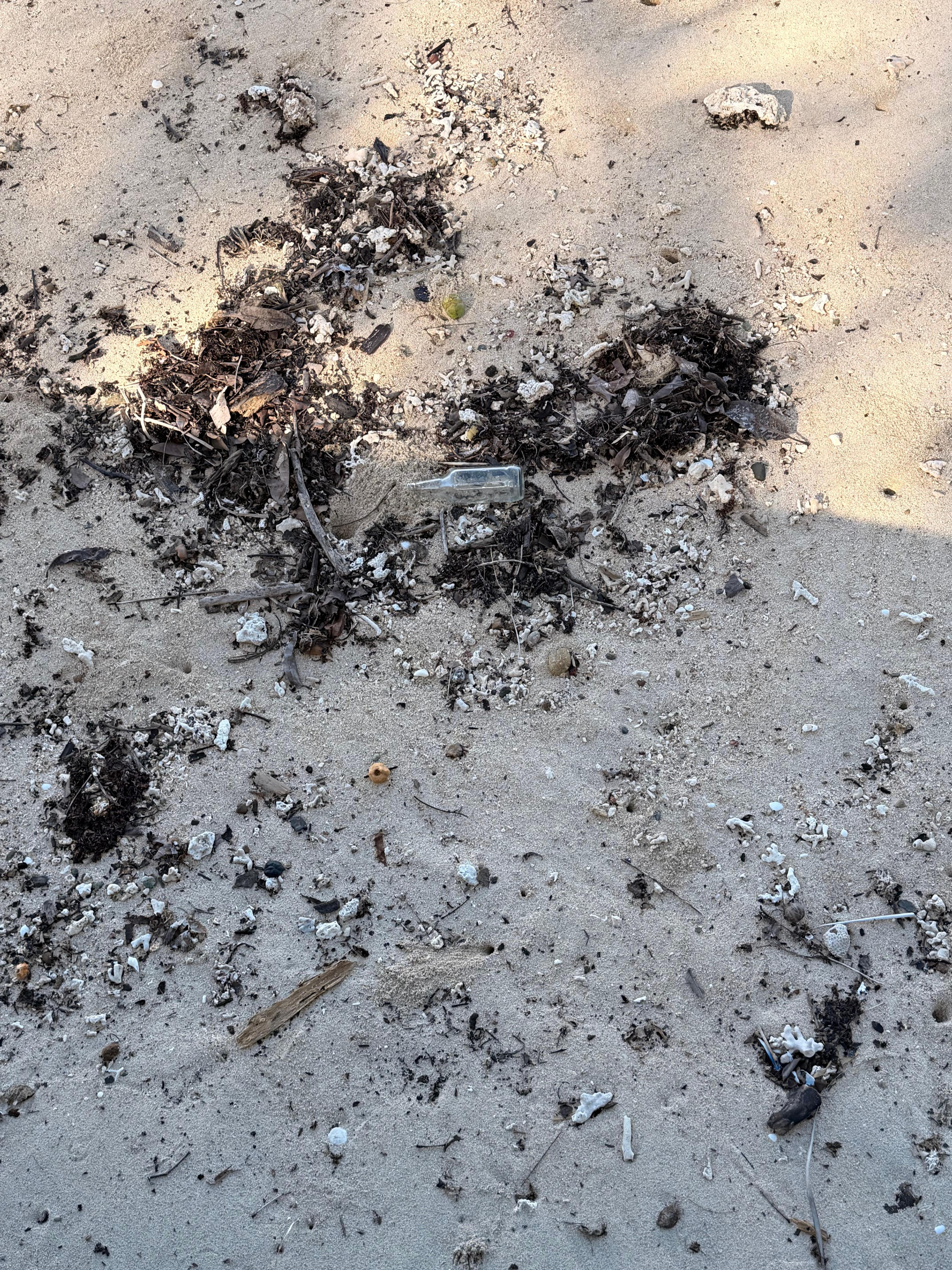 Not a resort experience.