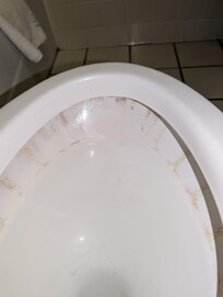 How the toilet was when I entered the room.