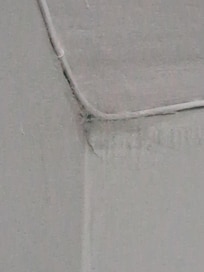 Cob webs and mould ion ceiling